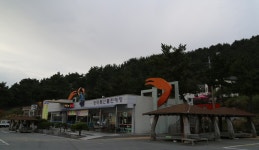 싱그러운 일탈, 블루로드, 경상북도 영덕군, 스토리텔링