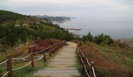 싱그러운 일탈, 블루로드, 경상북도 영덕군, 스토리텔링