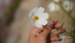 반변천에서 만나는 꿈의 서사, 경상북도 영양군, 스토리텔링