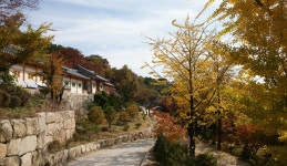 용이 지켜주는 천년고찰, 경상북도 영주시, 스토리텔링