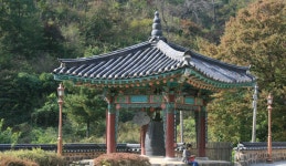고요히 다녀가다, 세종특별자치시 , 스토리텔링
