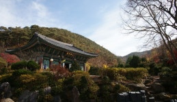 무아의 세계로 가는 길, 경상북도 의성군, 스토리텔링