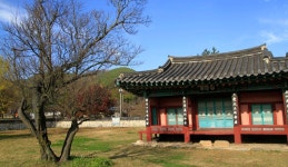 고매화 암향 은은한 학자의 봄, 경상남도 산청군, 스토리텔링
