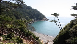 동삼동 하리마을의 역사, 부산광역시 영도구, 스토리텔링