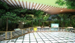 자연을 생각하는 좋은 생각, 강원도 홍천군, 스토리텔링