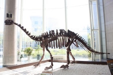 광주광역시 북구, 국내여행 음식정보 전통시장 여행지추천 지역축제 테마여행, 트래블아이 트래블아이