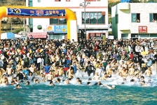 거제도 국제펭귄수영축제,경상남도 거제시,레저스포츠축제,지역축제,트래블아이 	거제도 국제펭귄수영축제,경상남도 거제시,레저스포츠축제... 
