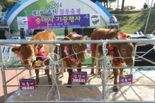 	예천참우축제,경상북도 예천군,지역특산물축제,지역축제,트래블아이 	예천참우축제,경상북도 예천군,지역특산물축제,지역축제,트래블아이