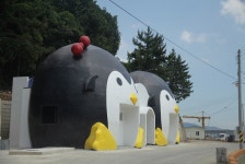 거제도 국제펭귄수영축제,경상남도 거제시,레저스포츠축제,지역축제,트래블아이 	거제도 국제펭귄수영축제,경상남도 거제시,레저스포츠축제... 