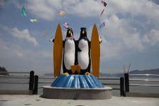 거제도 국제펭귄수영축제,경상남도 거제시,레저스포츠축제,지역축제,트래블아이 	거제도 국제펭귄수영축제,경상남도 거제시,레저스포츠축제... 