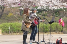 안산 자락길 벚꽃음악회,서울특별시 서대문구,생태자연축제,지역축제,트래블아이 	안산 자락길 벚꽃음악회,서울특별시 서대문구,생태자연축제... 