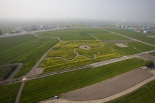 군산꽁당보리축제,전라북도 군산시,지역특산물축제,지역축제,트래블아이 	군산꽁당보리축제,전라북도 군산시,지역특산물축제,지역축제,트래블아이