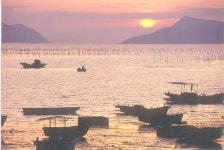 당진 왜목마을 해돋이축제,충청남도 당진시,생태자연축제,지역축제,트래블아이 	당진 왜목마을 해돋이축제,충청남도 당진시,생태자연축제... 