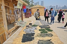 광안리어방축제,부산광역시 수영구,전통역사민속축제,지역축제,트래블아이 	광안리어방축제,부산광역시 수영구,전통역사민속축제,지역축제... 