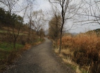 우포늪생명길걷기대회,경상남도 창녕군,생태자연축제,지역축제,트래블아이 	우포늪생명길걷기대회,경상남도 창녕군,생태자연축제,지역축제... 