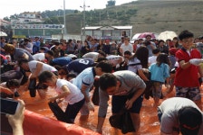 서천 홍원항 자연산 전어 · 꽃게축제,충청남도 서천군,지역특산물축제,지역축제,트래블아이 	서천 홍원항 자연산 전어 · 꽃게축제,충청남도... 