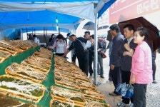 풍기인삼축제,경상북도 영주시,지역특산물축제,지역축제,트래블아이 	풍기인삼축제,경상북도 영주시,지역특산물축제,지역축제,트래블아이