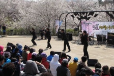 안산 자락길 벚꽃음악회,서울특별시 서대문구,생태자연축제,지역축제,트래블아이 	안산 자락길 벚꽃음악회,서울특별시 서대문구,생태자연축제... 