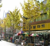 옥포시장,경상남도 거제시,상설시장,재래시장,전통시장