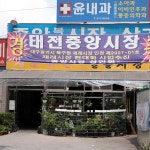 중앙시장,대구광역시 북구,상설시장,재래시장,전통시장