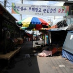 서구시장,대구광역시 서구,상설시장,재래시장,전통시장