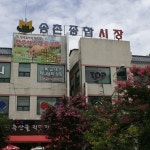 ★송촌시장,대전광역시 대덕구,상설시장,재래시장,전통시장