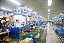 민락씨랜드시장,부산광역시 수영구,상설시장,재래시장,전통시장