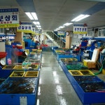 민락 어패류 시장,부산광역시 수영구,상설시장,재래시장,전통시장