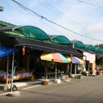 과역시장,전라남도 고흥군,5일,0일,재래시장,전통시장