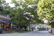 사기막골도자기재래시장,경기도 이천시,상설시장,재래시장,전통시장