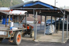 임회5일시장,전라남도 진도군,기타,재래시장,전통시장