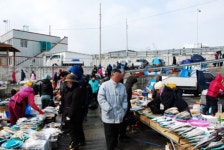 우수영5일시장,전라남도 해남군,4일,9일,재래시장,전통시장