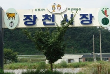 장천시장,경상북도 구미시,상설시장,재래시장,전통시장