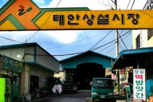 태안상설시장,충청남도 태안군,상설시장,재래시장,전통시장