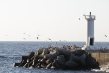 담담한 위로를 건네다, 바다 그리고 등대,트래블투데이 THINK-i,트래블투데이,여행기사,트래블아이