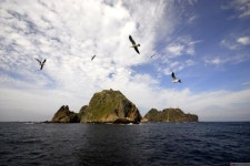 아름다운 우리 영토 ‘독도는 우리 땅’,경상북도 울릉군,탐사,여행기사,트래블아이