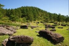 세계문화유산 : 고창 화순 강화 고인돌유적,트래블투데이 THINK-i,트래블투데이,여행기사,트래블아이
