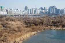 밤섬과 한강지류 - 서울에서 만나는 한강 철새,,체험,여행기사,트래블아이