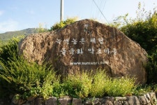 약초의 고장, 화순군 수만리 들국화 마을,,체험,여행기사,트래블아이