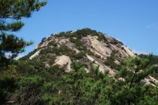 가슴 설레는 봄꽃길, 인왕스카이웨이,서울특별시 종로구,명물,여행기사,트래블아이
