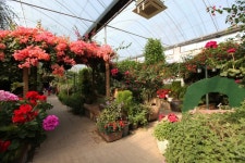 로맨틱한 향기가 가득, 포천 허브아일랜드,경기도 포천시,명물,여행기사,트래블아이