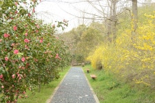꽃피는 유달산을 본 적 있나요?,,명물,여행기사,트래블아이