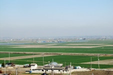 김제 지평선 추억의 보리밭 축제에서 봄빛을 만나다,전라북도 김제시,명물,여행기사,트래블아이