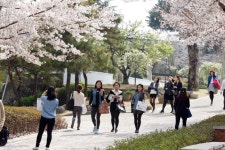 사랑비가 내리는 캠퍼스, 계명대학교 대명캠퍼스,대구광역시 남구,명물,여행기사,트래블아이