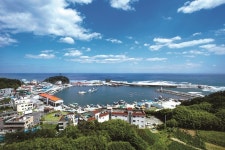 그림 같은 어촌마을 체험! 양양 남애마을로~,강원도 양양군,체험,여행기사,트래블아이