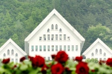 볼 ‘꽃’ 많은 정원, 조선대학교 장미원,광주광역시 동구,명물,여행기사,트래블아이