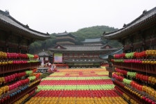 경이로운 연등 불빛, 부산 삼광사,부산광역시 부산진구,트래블투데이,여행기사,트래블아이