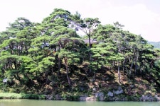 천관산부터 동백숲까지, 정기 어린 장흥으로 ,전라남도 장흥군,문화,여행기사,트래블아이