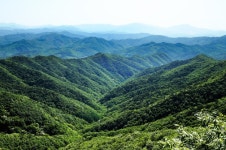	나무가 주는 치유(治癒), 칠갑산자연휴양림,충청남도 청양군,체험... 주는 치유(治癒), 칠갑산자연휴양림,충청남도 청양군,체험,여행기사,트래블아이