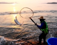 오직 해남에서만 즐길 수 있는 뜰채 숭어잡이,,별미,여행기사,트래블아이